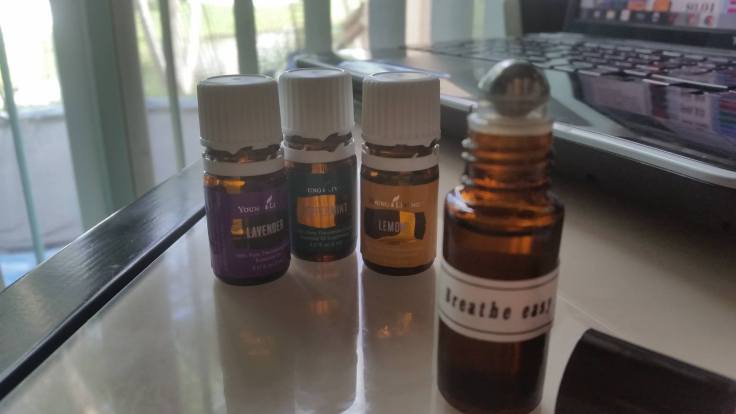 12011474_10206706259910376_1416117356_o